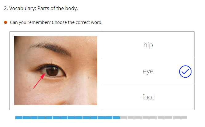 flash card image of eye